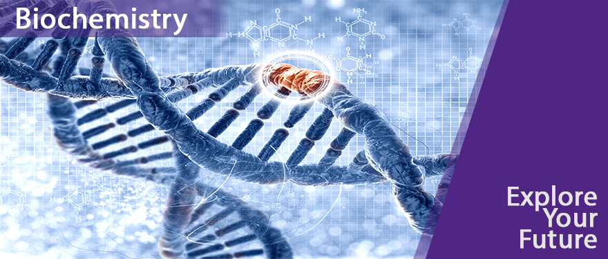Helix DNA Structure - Biochemistry Banner